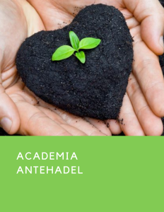 Formación de Metaconsciencia para la Autosanación